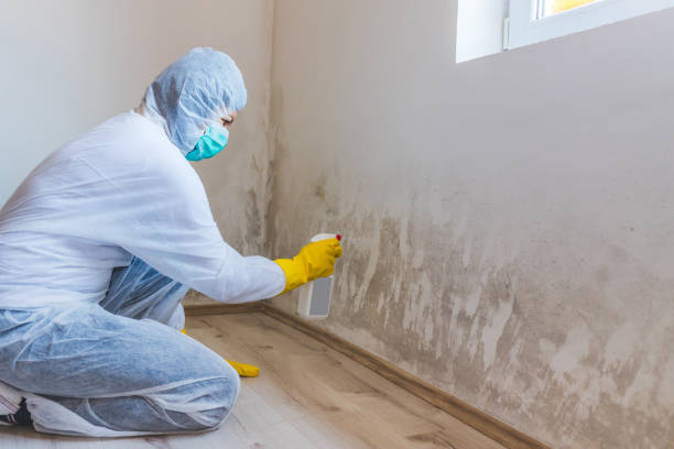 Commercial Mold Remediation assessment for commercial property in Windber